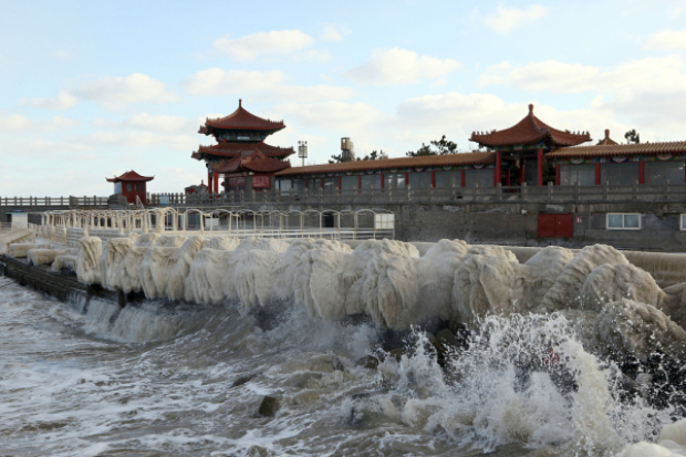 Winter coastal scenery of Yantai captured in photos