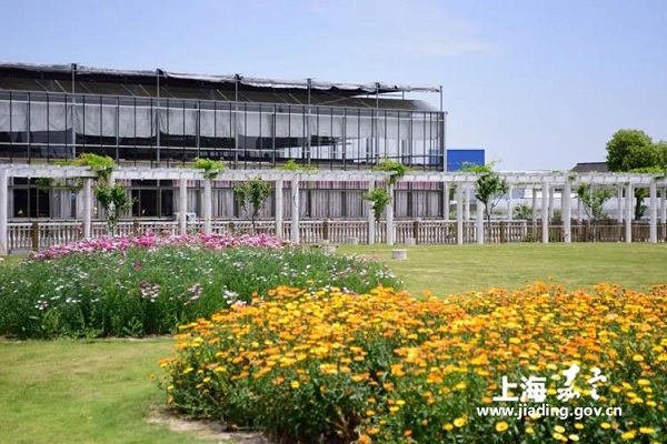 A glance at Jiading's country parks