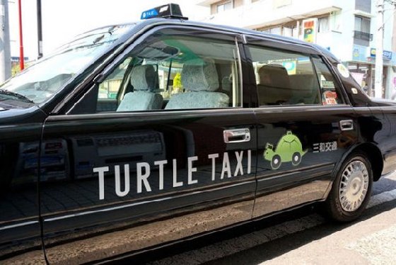 JP Turtle Taxi gets popular<BR>日本'龜速'出租車(chē)受追捧