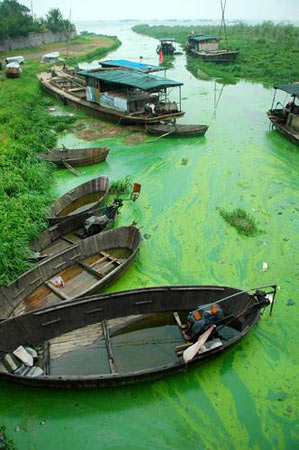 A general view shows ships in the algae-filled Chaohu Lake in Hefei, East China's Anui Procince, June 11, 2007.Environmental experts and officials are closely monitoring the potentially harmful algae bloom in Chaohu Lake, China's fifth largest freshwater lake, for signs of a massive bloom in the hot and arid weather, Xinhua said.[China Foto Press]