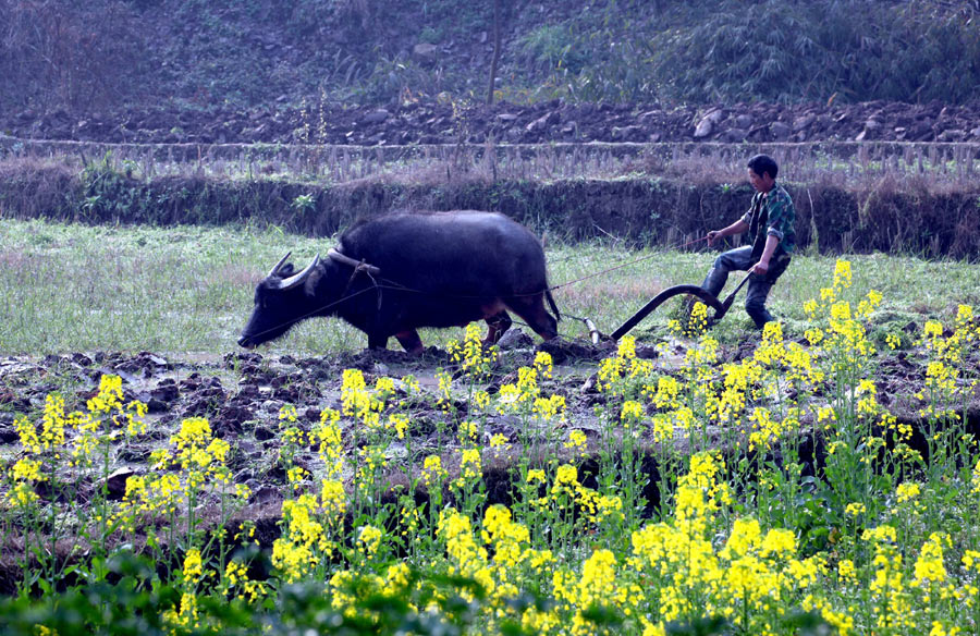 In photos: Spring, a time of renewal