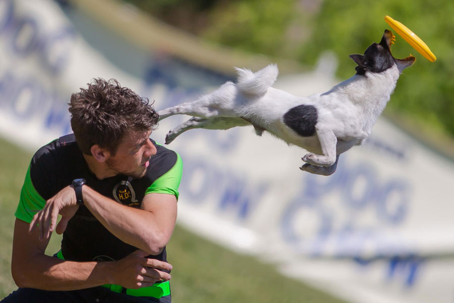 Xinhua world images of the year 2012