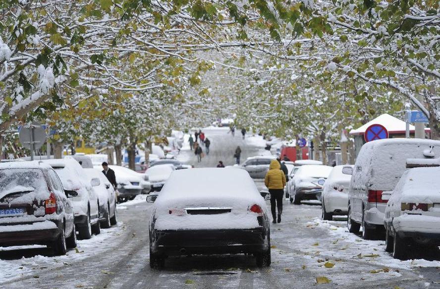 Heavy snow blankets NE China