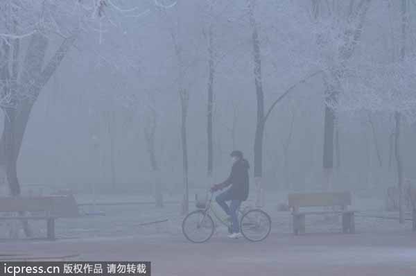 Foggy morning in NW China slows flights