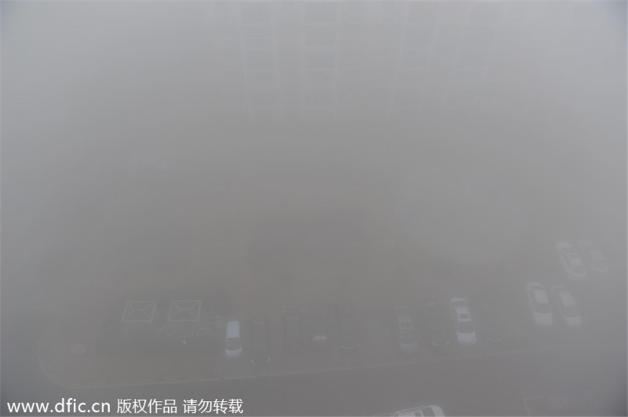 Festival travelers battle heavy fog