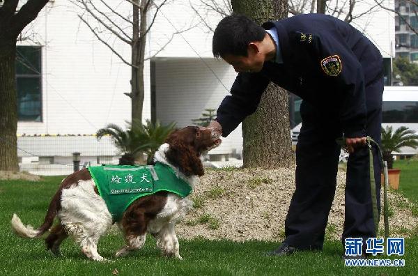 CHINA-SHANGHAI-VETERAN-DETECTIVE DOG