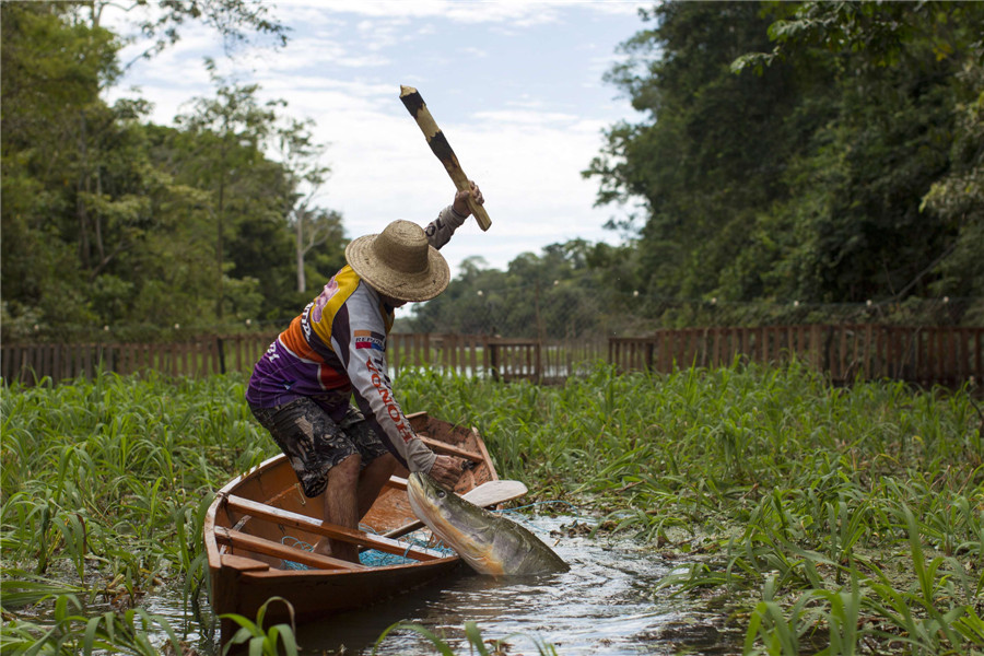 Fishing for living fossils