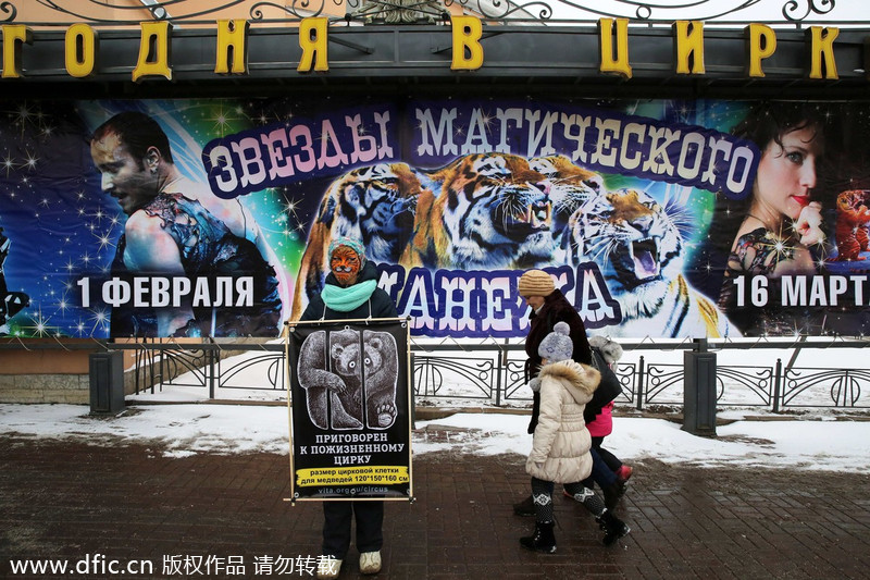 Protest against animal abuse in St Petersburg