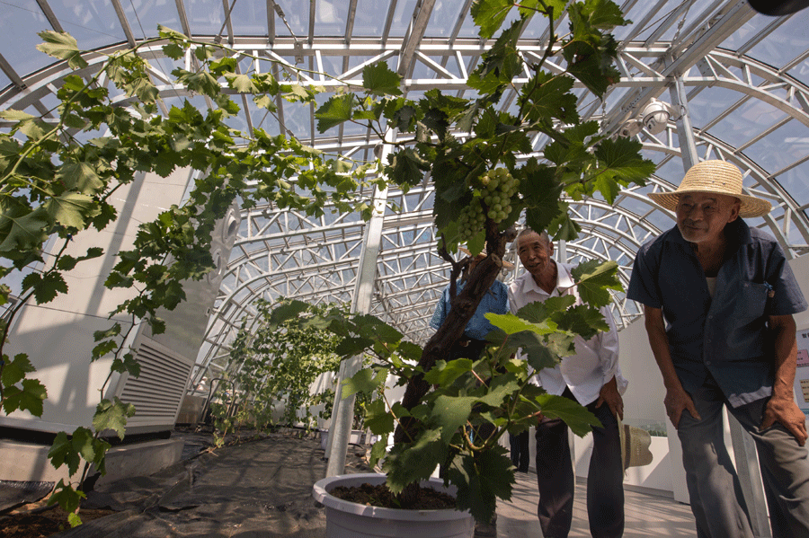 Int'l Grape Exhibition Garden opens in Yanqing county of Beijing