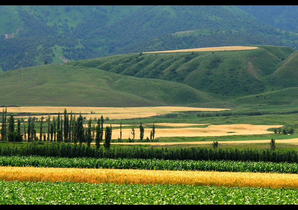 Amazing Yili River Valley in Xinjiang