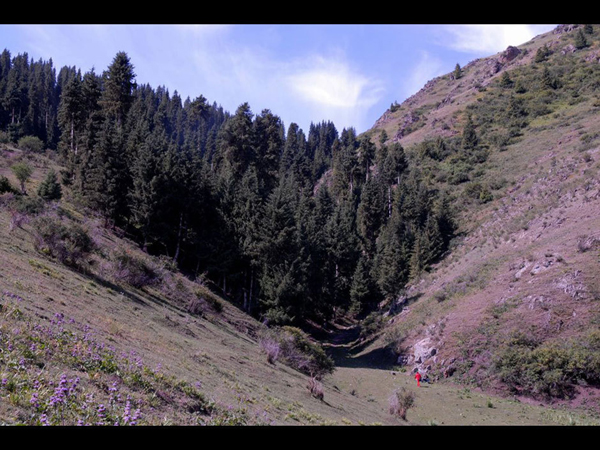 Amazing Yili River Valley in Xinjiang