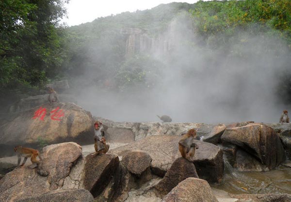 Trip to Monkey Island in Hainan