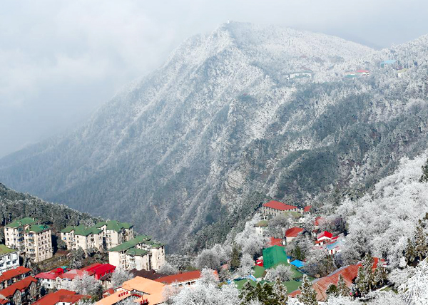 Gorgeous rime scenery in Lushan mountain