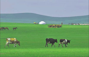 Land of idyllic beauty in Chongyi, E China