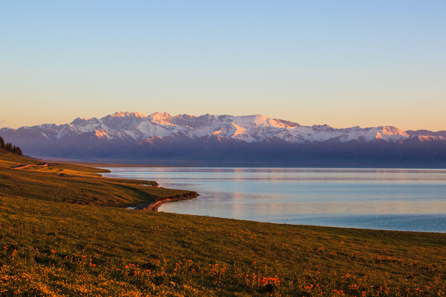 Xinjiang: another charm