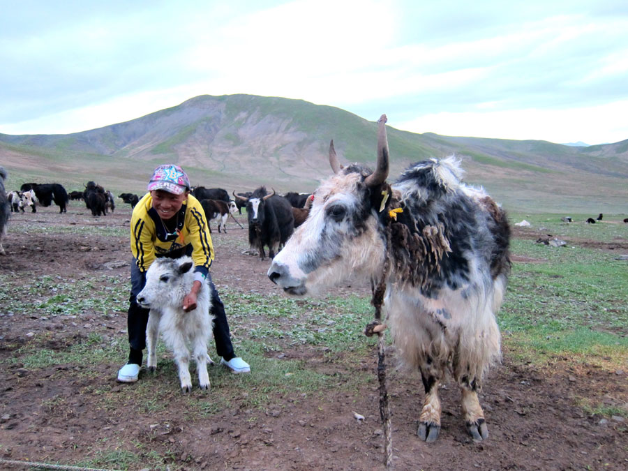 Changing Qinghai