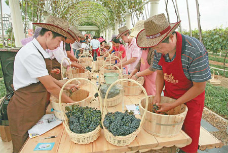 Chinese toast wine tourism