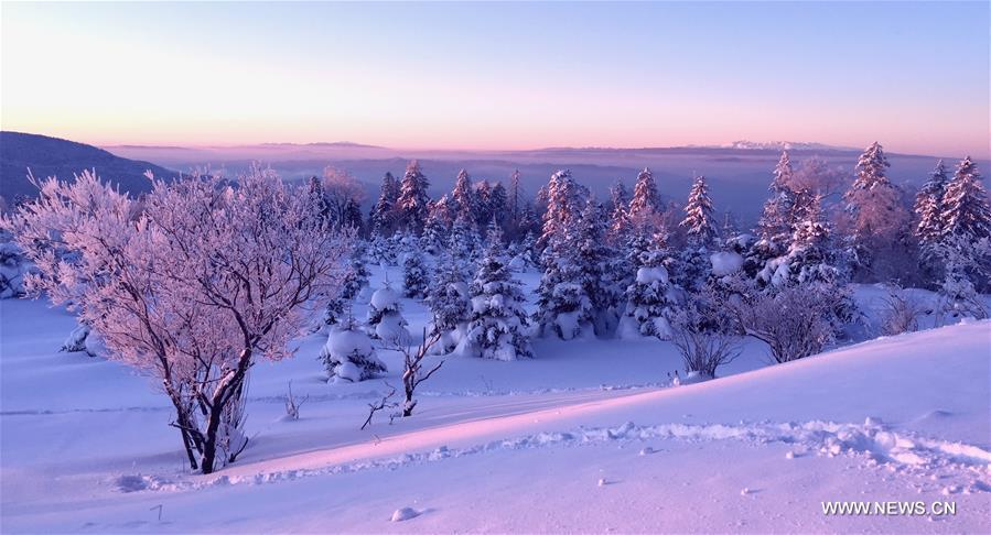 Rime scenery in NE China's Jilin