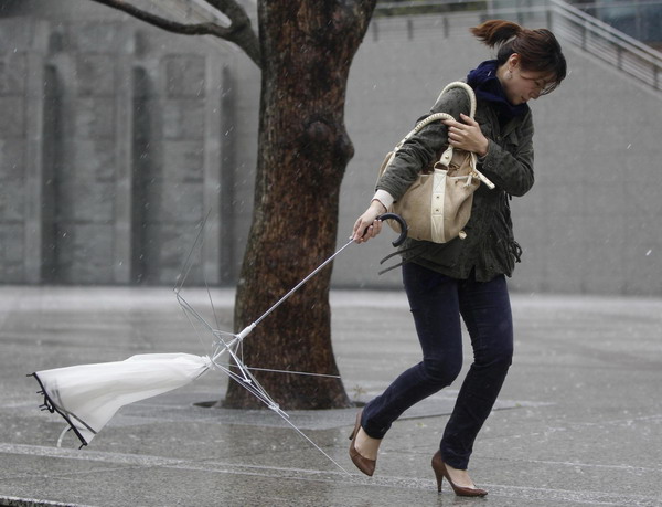 Strong winds disrupts traffic in Japan