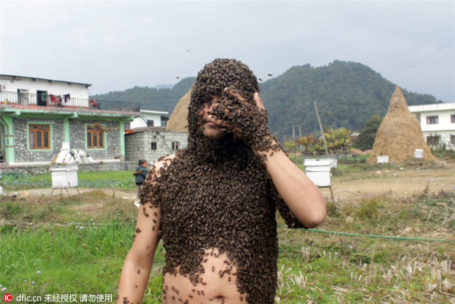 Nepalese man covers himself in fatal Serena bees