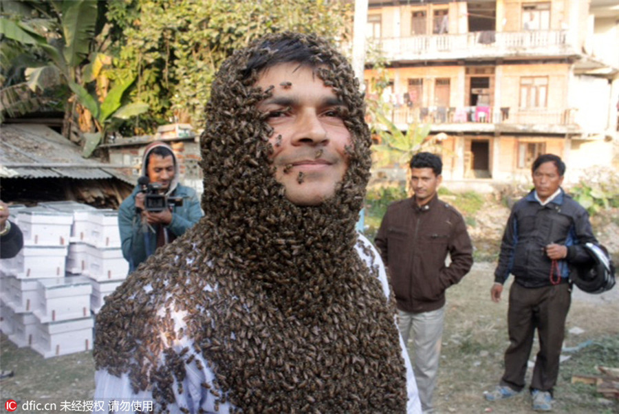 Nepalese man covers himself in fatal Serena bees