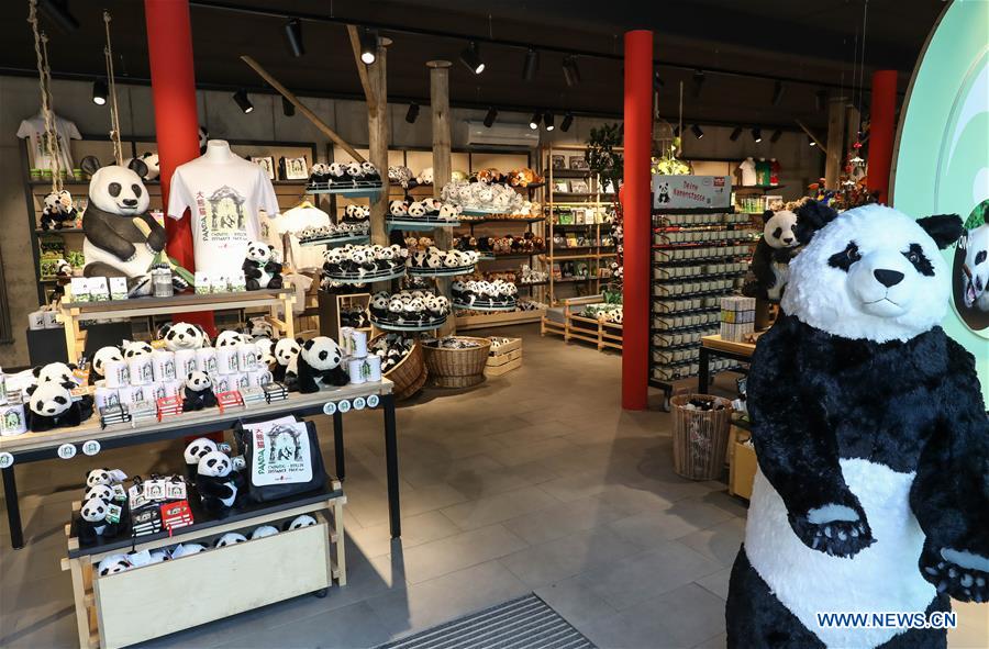 People visit pandas from SW China at Zoo Berlin