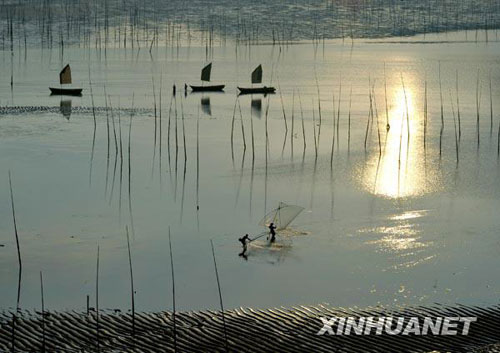 美麗的灘涂風(fēng)光[組圖]